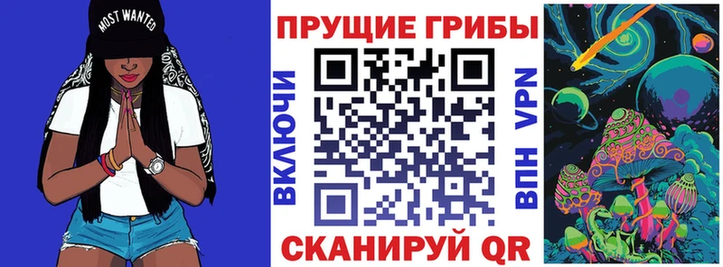 Псилоцибиновые грибы Cubensis  Купить  Томмот 
