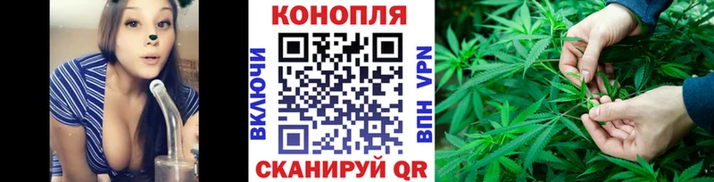 Купить где  Томмот  Каннабис план 
